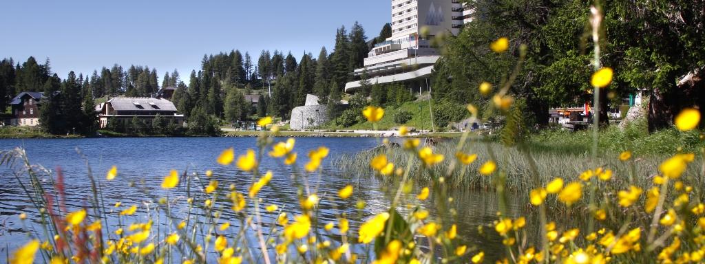 Hotel_Panorama_kompri