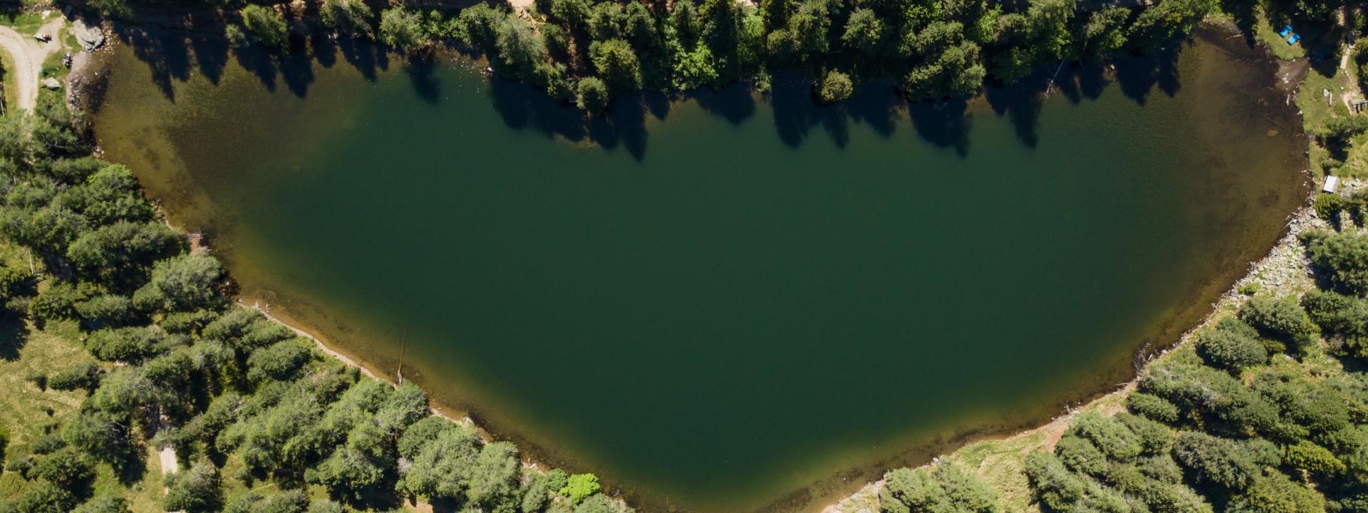 Grünsee_Rossmann Grünsee_Rossmann