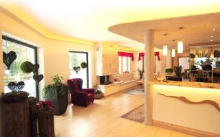 Halle bild