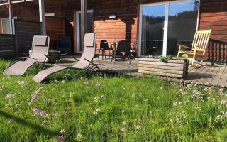 01_Titelfoto_Sommer