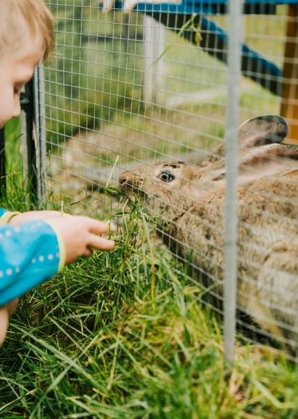 Familie-Almzeit-Kulinarik-79 ©WEKNOWMEDIA