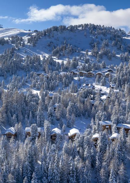 winterpanorama-alpenpark-turracher-hhe_48641005701_o