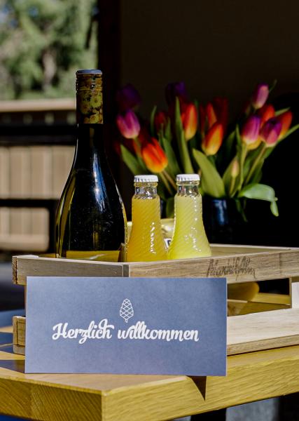 Marktlalm Österreich Urlaub Familie Chalet Lodges