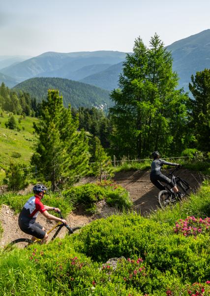 Rossmann-MTB-9