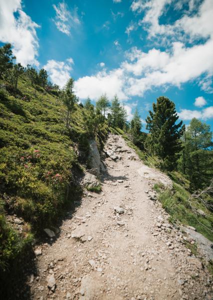 Turrach-Juni-53 ©WEKNOWMEDIA - Kopie