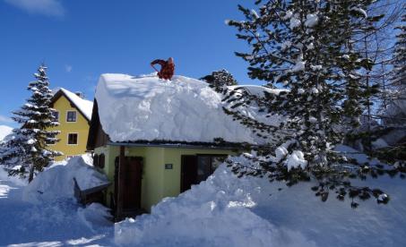 ferienhaus1