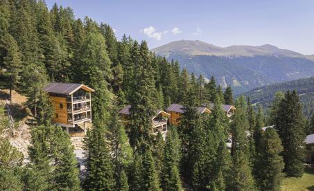 Naturchalets Turrach by AlpsResorts