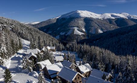 xTomLamm_201214_0998