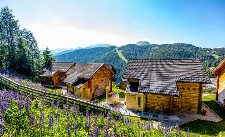 HEADER-FOTO - Marktlalm Familienurlaub Österreich Lodges Chalet-3