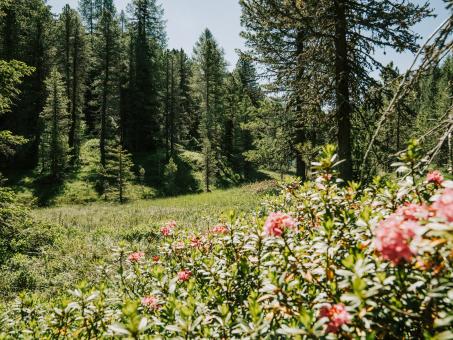 Turrach-Juni-3 ©WEKNOWMEDIA