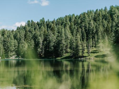 Turrach-Juni-33 ©WEKNOWMEDIA
